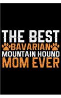 The Best Bavarian Mountain Hound Mom Ever
