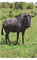 Blue Wildebeest aka Gnu Journal: 150 page lined notebook/diary