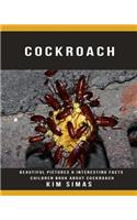 Cockroach