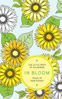 Little Book of Colouring: In Bloom