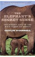 The Elephant's Secret Sense