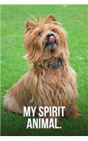 My Spirit Animal: Australian Terrier Journal