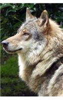 European Wolf Notebook: 150 lined pages, softcover, 6 x 9