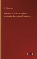 New Mexico. Territorial Bureau of Immigration. Report as to Grant County