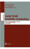 Large-Scale Scientific Computing