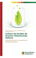 Cultura de tecidos de Arachis villosulicarpa Hoehne