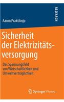 Sicherheit Der Elektrizitätsversorgung