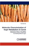 Molecular Characterization of Sugar Metabolism in Carrot