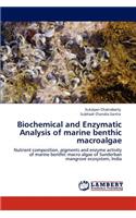 Biochemical and Enzymatic Analysis of Marine Benthic Macroalgae