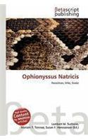 Ophionyssus Natricis