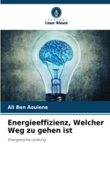 Energieeffizienz, Welcher Weg zu gehen ist
