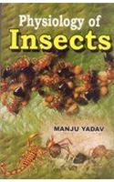 Physiology of Insects