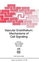 Vascular Endothelium