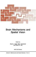 Brain Mechanisms and Spatial Vision