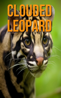 Clouded Leopard