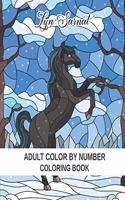 Adult Color By Number Coloring Book