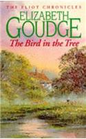 Bird in the Tree