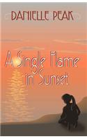 A Single Flame in Sunset