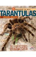 Tarantulas: Supersized Predators(Arachnid World)