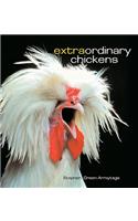 Extraordinary Chickens