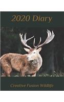 2020 Diary: Weekly Planner & Monthly Calendar - Desk Diary, Journal, Wildlife, Stag, Red Deer, Wild Deer, Wildlife, ... - 8x10"(2 Creative Fusion Diary)