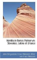 Homilia in Ramos Palmarum