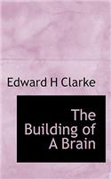 The Building of a Brain