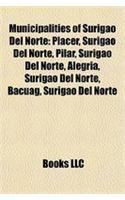 Municipalities of Surigao del Norte: Placer, Surigao del Norte, Pilar, Surigao del Norte, Alegria, Surigao del Norte, Bacuag, Surigao del Norte(English)