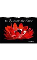 La Symphonie Des Fleurs 2017