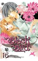 Black Bird, Vol. 16