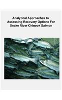 Analytical Approaches to Assessing Recovery Options for Snake River Chinook Salmon