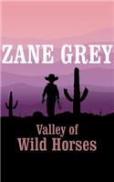 Valley of Wild Horses