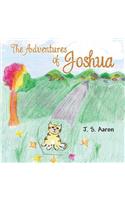 The Adventures of Joshua