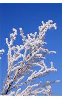 Winter Frost on a Cherry Tree Journal
