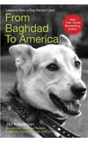 From Baghdad to America
