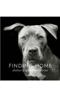 Finding Home: Shelter Dogs and Their Stories