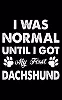 I Was Normal Until I Got My First Dachshund