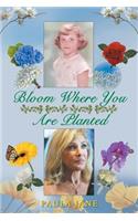 Bloom Where You Are Planted: (English)