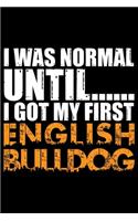 I Was Normal Until I Got My First English Bulldog