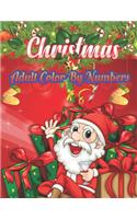 Christmas Adult Color By Numbers