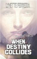 When Destiny Collides: Reincarnation Fiction