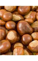 Chestnuts Notebook Large Size 8.5 x 11 Ruled 150 Pages Softcover