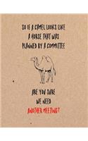 So If a Camel Looks Like a Horse That Was Planned by a Committee Are You Sure We Need Another Meeting?