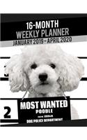 2019-2020 Weekly Planner - Most Wanted Poodle: (Dog Planners 2019-2020)
