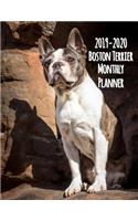 2019-2020 Boston Terrier Monthly Planner