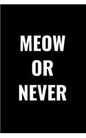 Meow or Never