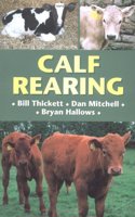 Calf Rearing