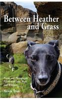 Between Heather and Grass