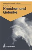 Knochen und Gelenke