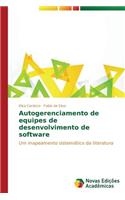 Autogerenciamento de equipes de desenvolvimento de software